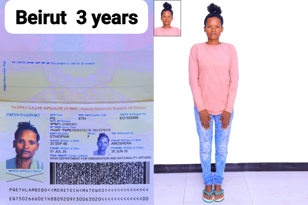 تكلفة استقدام الخادمات في إربد